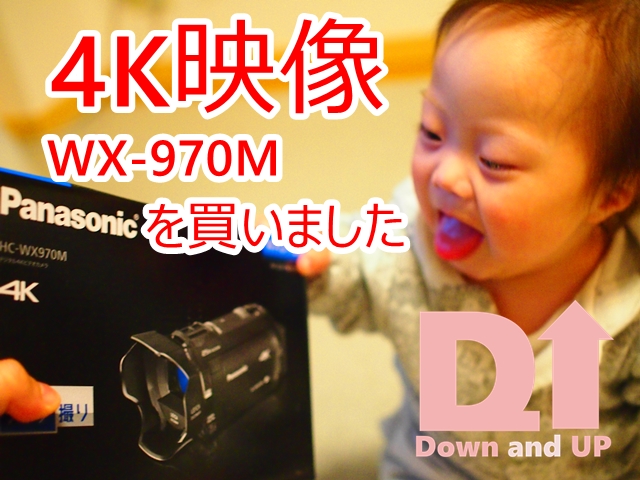 panasonic,4K,ビデオカメラ,WX970m,ダウン症,ブログ